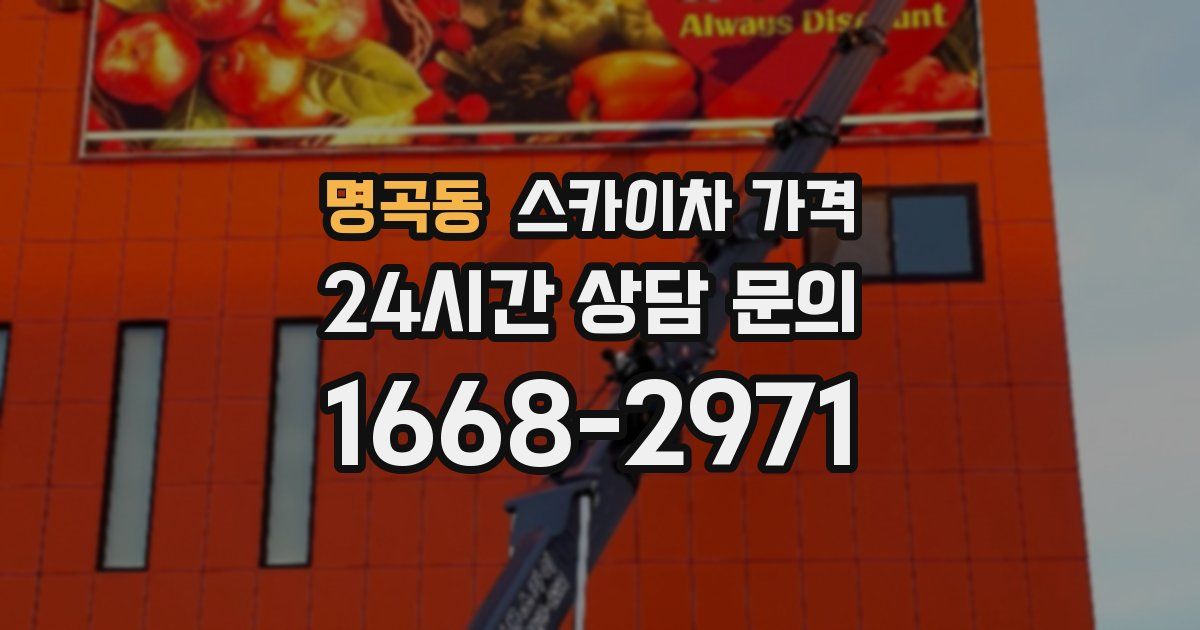 명곡동 스카이차 가격