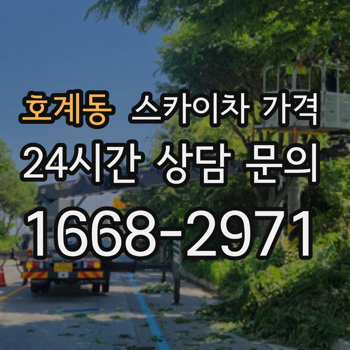 호계동 스카이차 가격