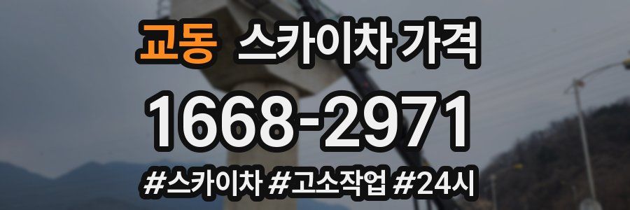 교동 스카이차 가격