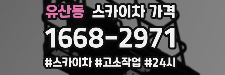 유산동 스카이차 가격