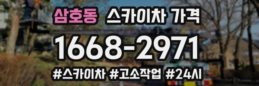 삼호동 스카이차 가격