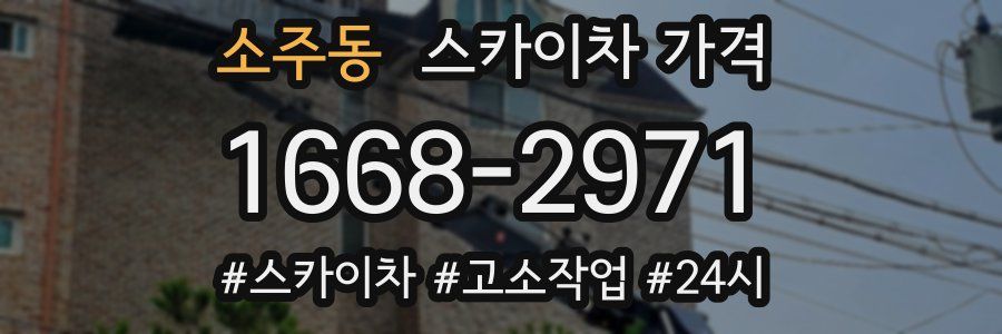 소주동 스카이차 가격