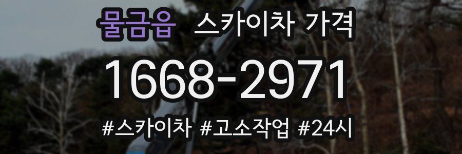 물금읍 스카이차 가격