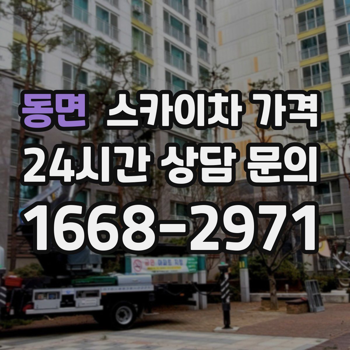 동면 스카이차 가격