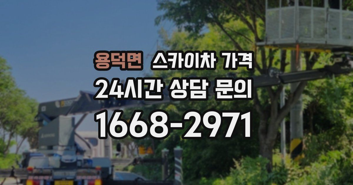 용덕면 스카이차 가격