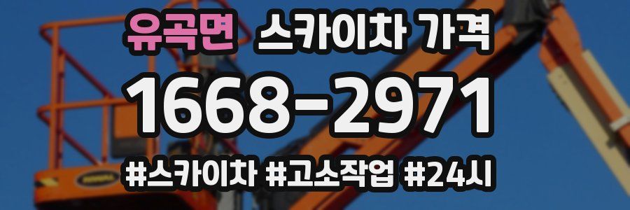 유곡면 스카이차 가격