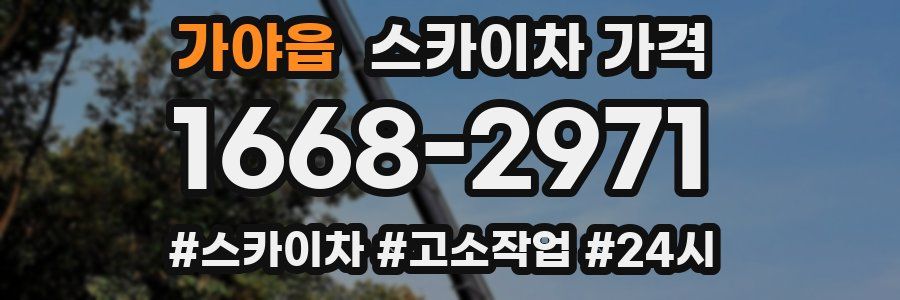 가야읍 스카이차 가격