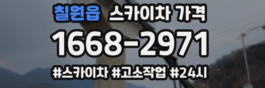 칠원읍 스카이차 가격