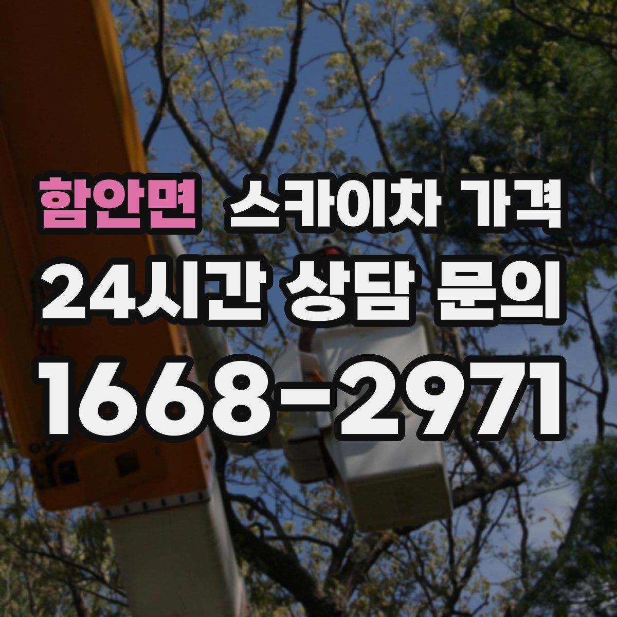 함안면 스카이차 가격