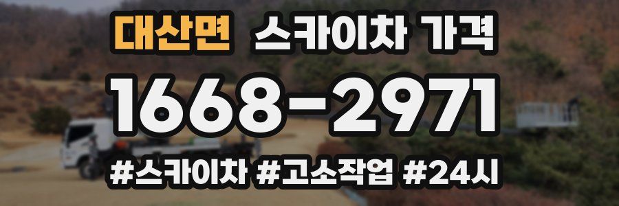 대산면 스카이차 가격