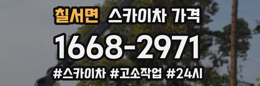 칠서면 스카이차 가격