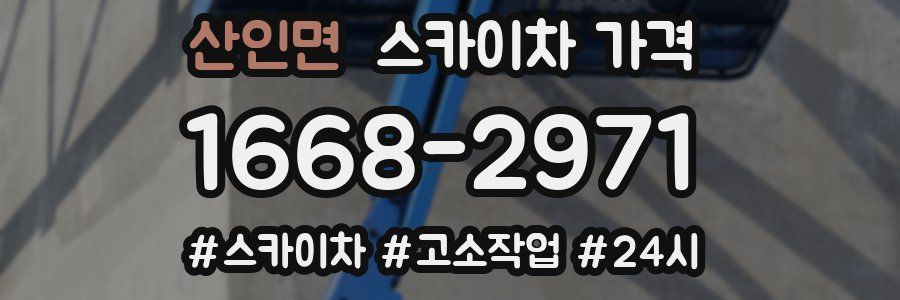 산인면 스카이차 가격