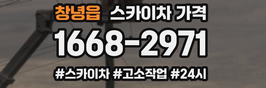 창녕읍 스카이차 가격