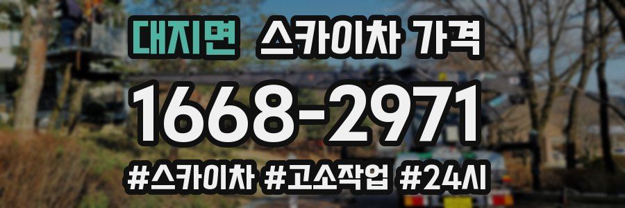 대지면 스카이차 가격