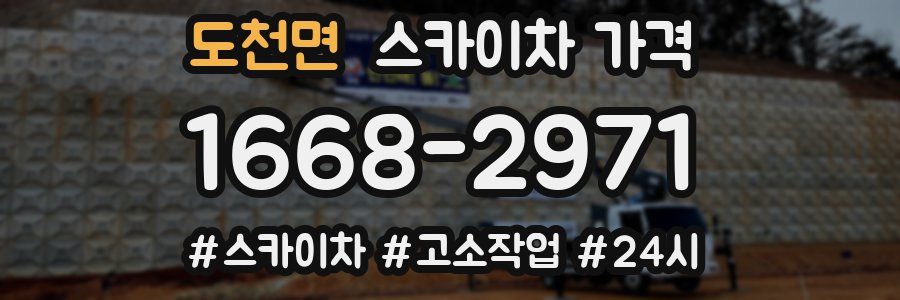 도천면 스카이차 가격