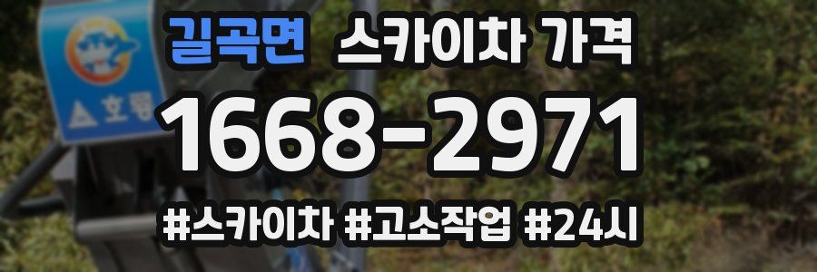 길곡면 스카이차 가격