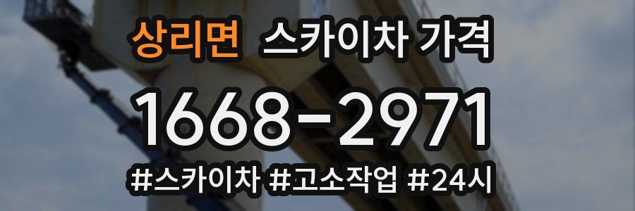 상리면 스카이차 가격