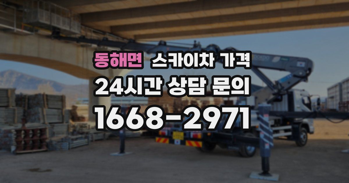 동해면 스카이차 가격