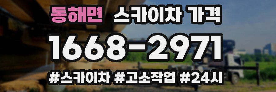 동해면 스카이차 가격