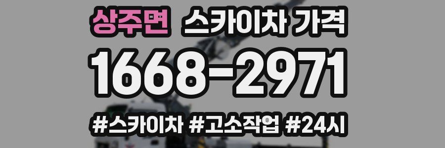 상주면 스카이차 가격