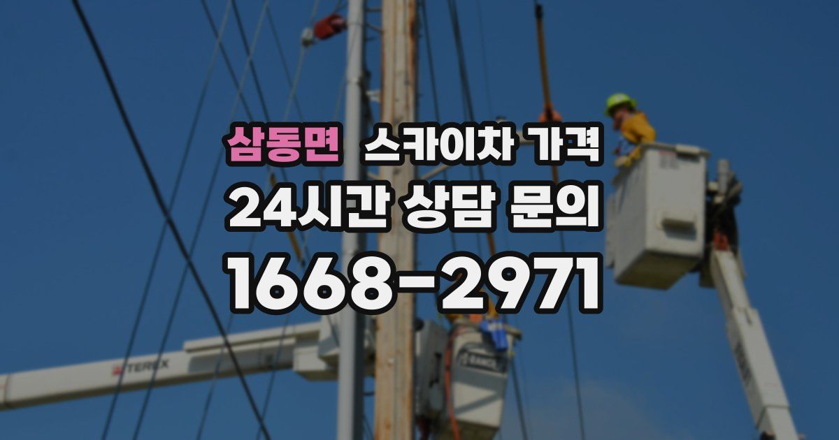 삼동면 스카이차 가격
