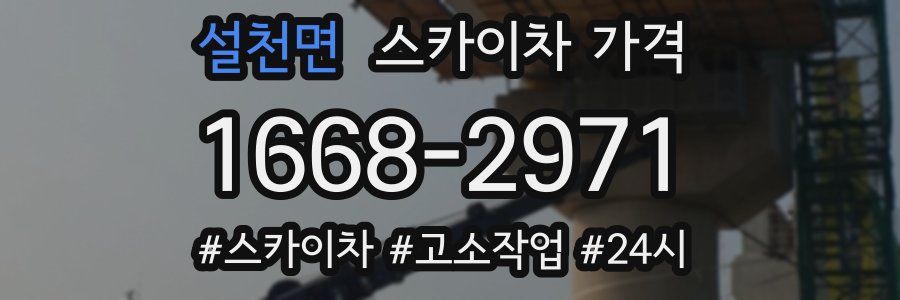 설천면 스카이차 가격