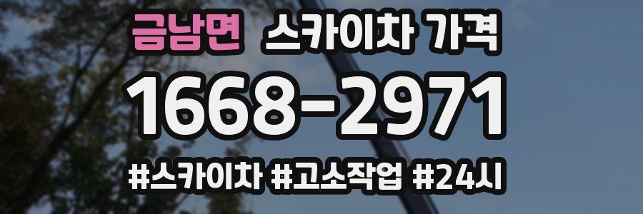 금남면 스카이차 가격