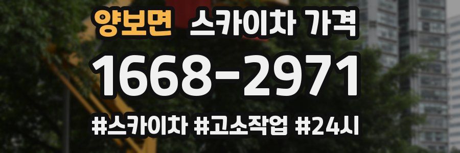 양보면 스카이차 가격