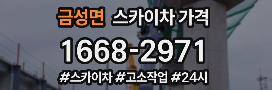 금성면 스카이차 가격