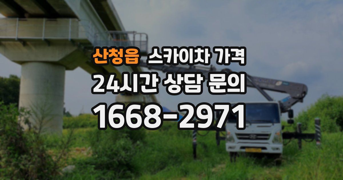 산청읍 스카이차 가격