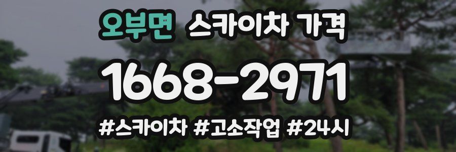 오부면 스카이차 가격