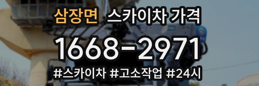 삼장면 스카이차 가격