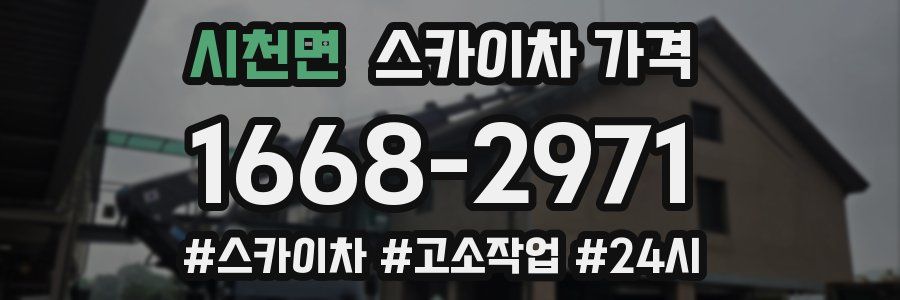 시천면 스카이차 가격