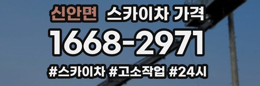 신안면 스카이차 가격