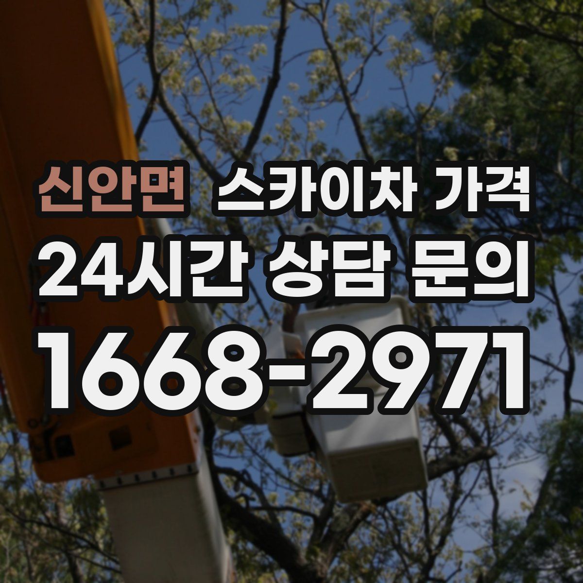 신안면 스카이차 가격