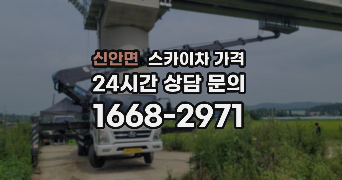 신안면 스카이차 가격