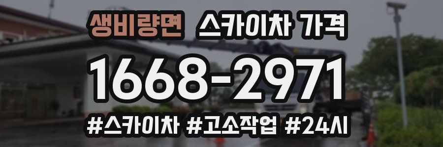 생비량면 스카이차 가격