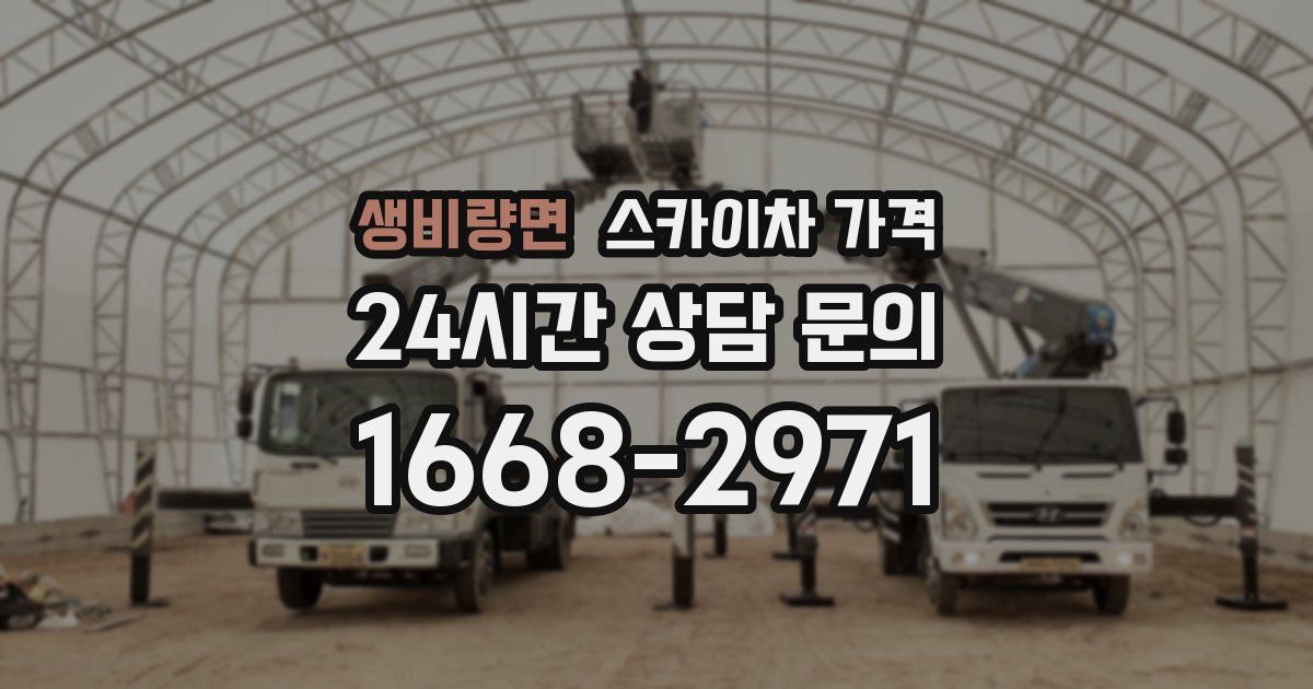 생비량면 스카이차 가격