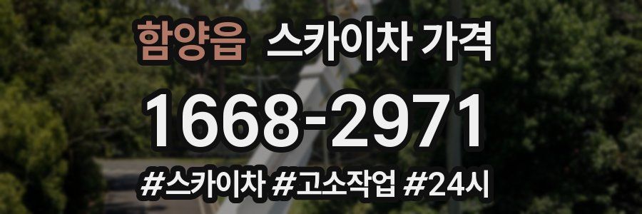 함양읍 스카이차 가격