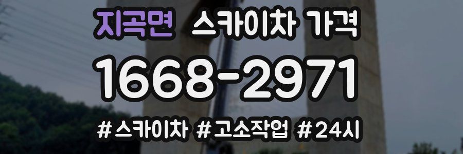 지곡면 스카이차 가격