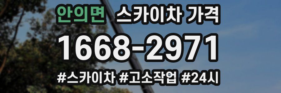 안의면 스카이차 가격