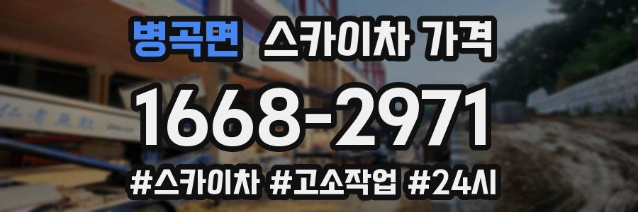 병곡면 스카이차 가격