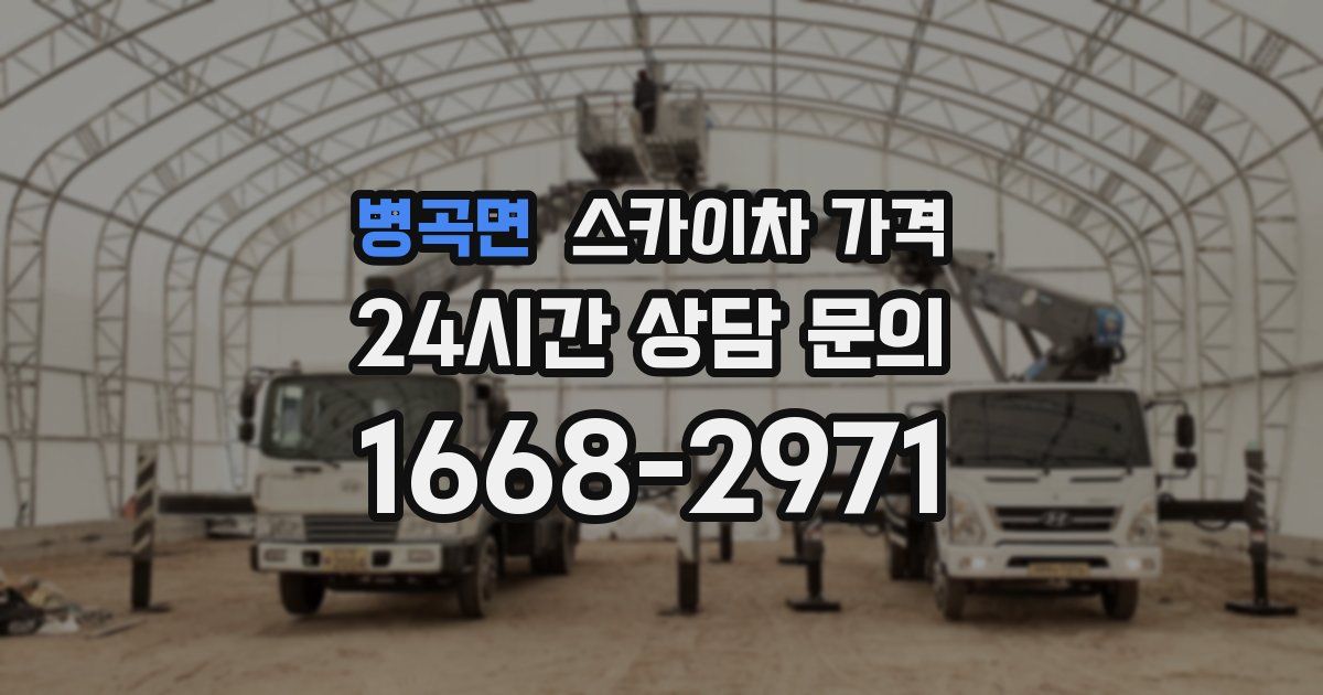 병곡면 스카이차 가격