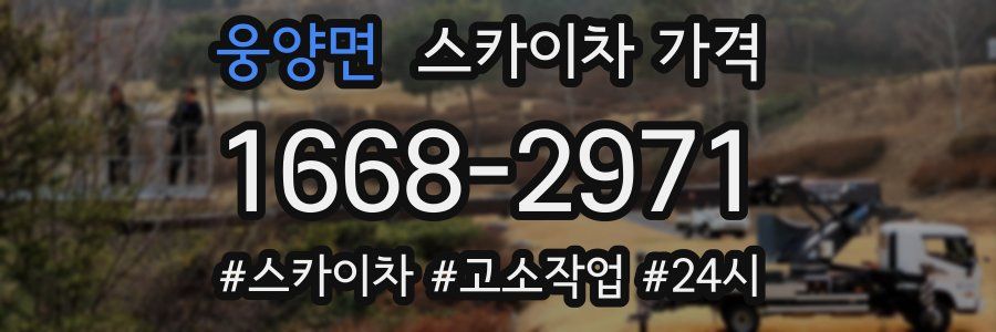 웅양면 스카이차 가격