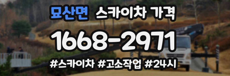 묘산면 스카이차 가격