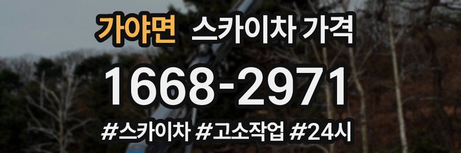 가야면 스카이차 가격