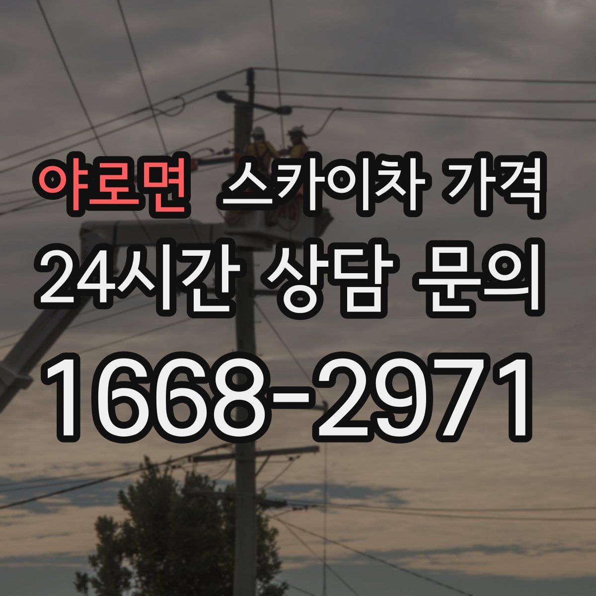 야로면 스카이차 가격