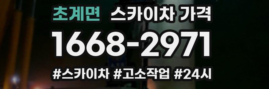 초계면 스카이차 가격