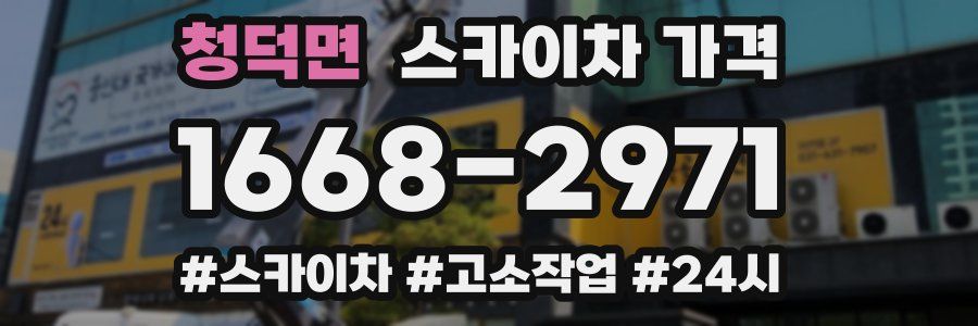 청덕면 스카이차 가격