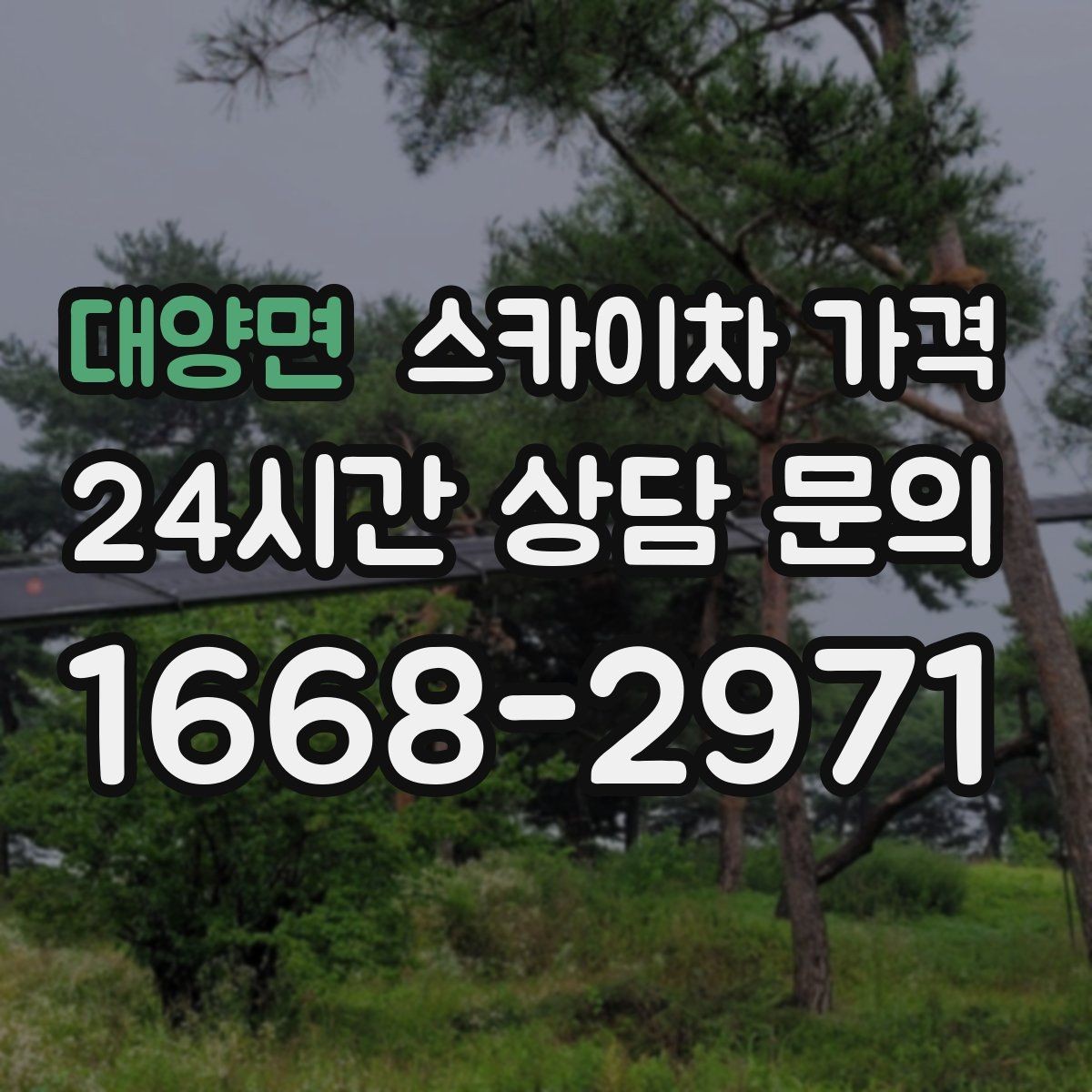 대양면 스카이차 가격 협소 골목 현장은 왜 가격 편차가 클까